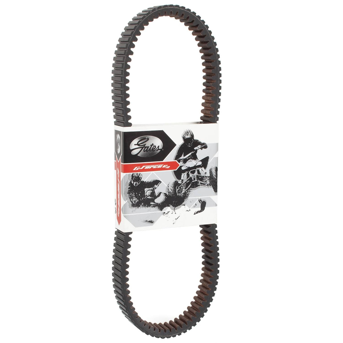 Carbon Cord CVT Belt V467651