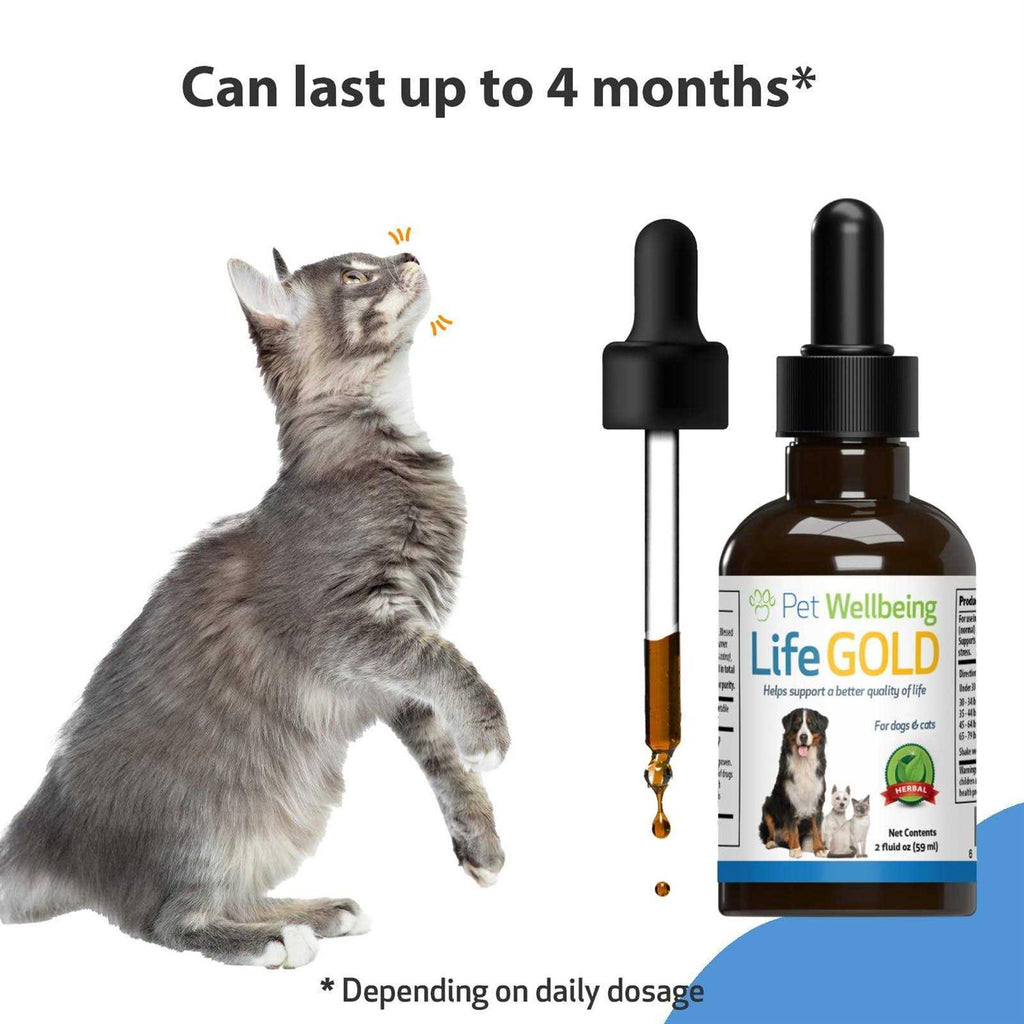 Life Gold for Dogs R51782