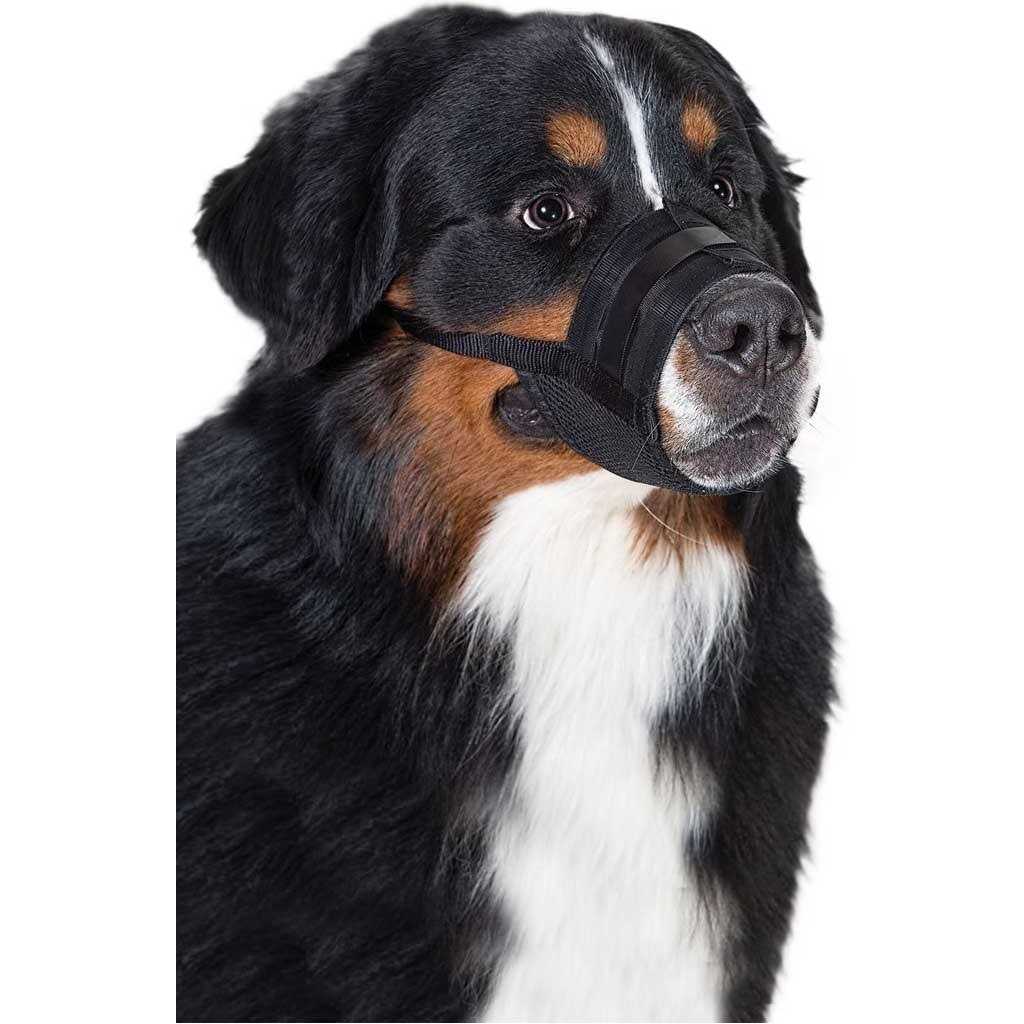 Dog Muzzle Y861441