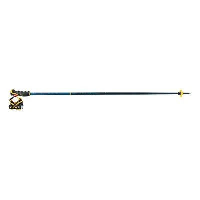 105 cm Ski Poles T889491
