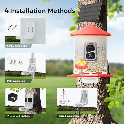 Bird Feeder with Camera F607321