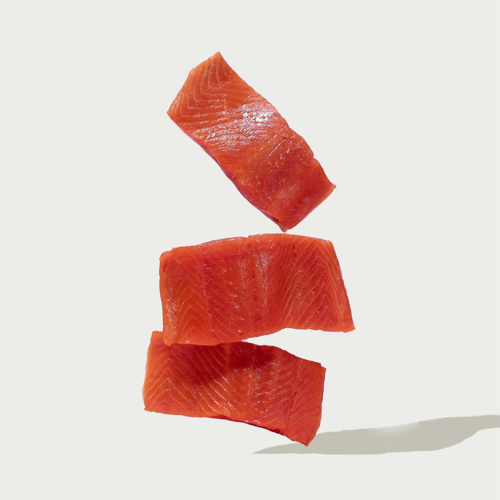 Salmon Brown Rice & Sweet Potato Dry Dog Food Y43676