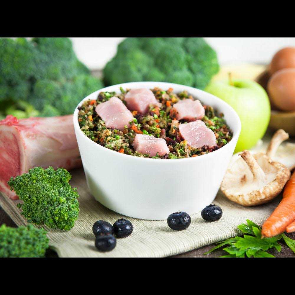 Raw Vibrance Dog Food Y470