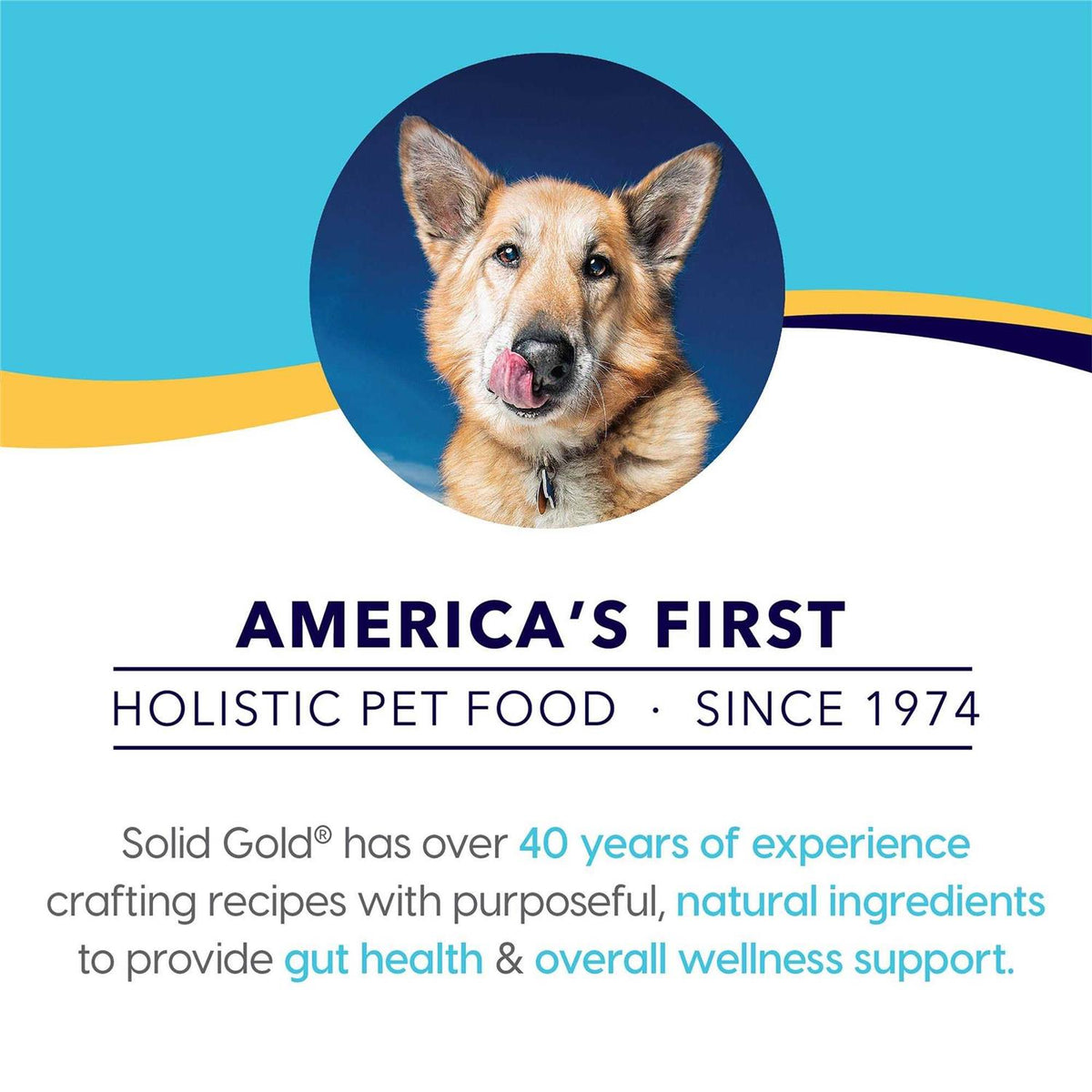 Grain Free Dog Food Topper M9241