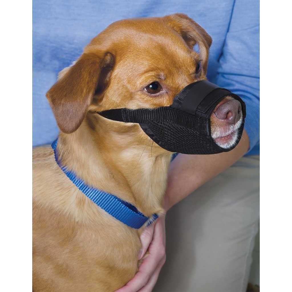 Dog Muzzle Y861441