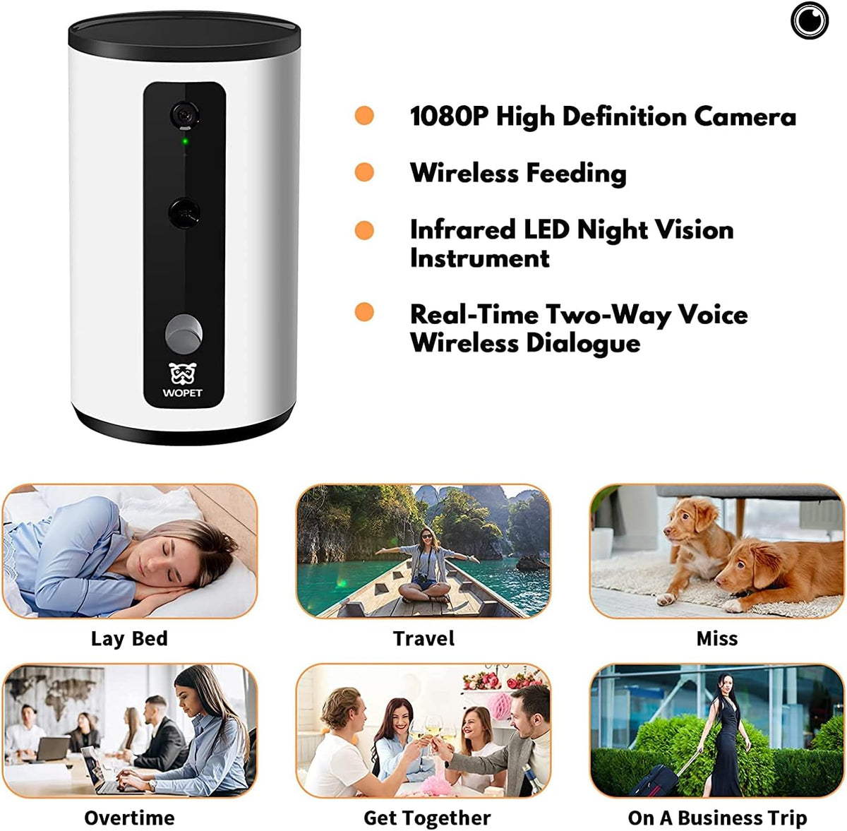 Smart Pet Camera Dog Treat Dispenser with Night Vision Two Way Audio R290