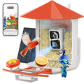 Bird Feeder with Camera F607321