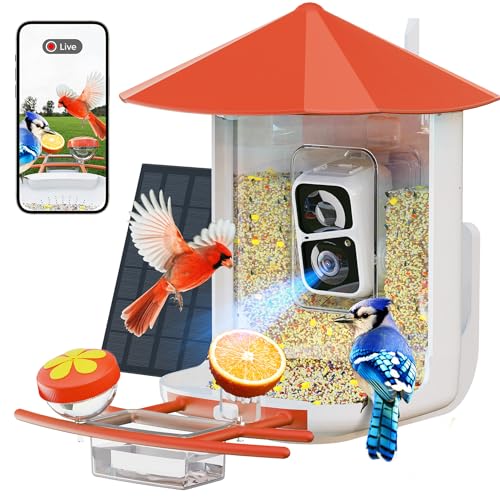 Bird Feeder with Camera F607321