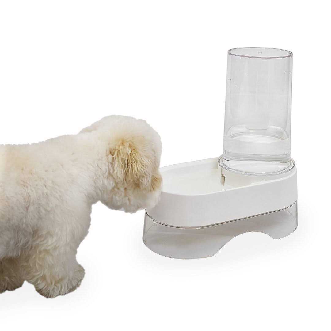 Elevated Gravity Pet Water Dispenser P231