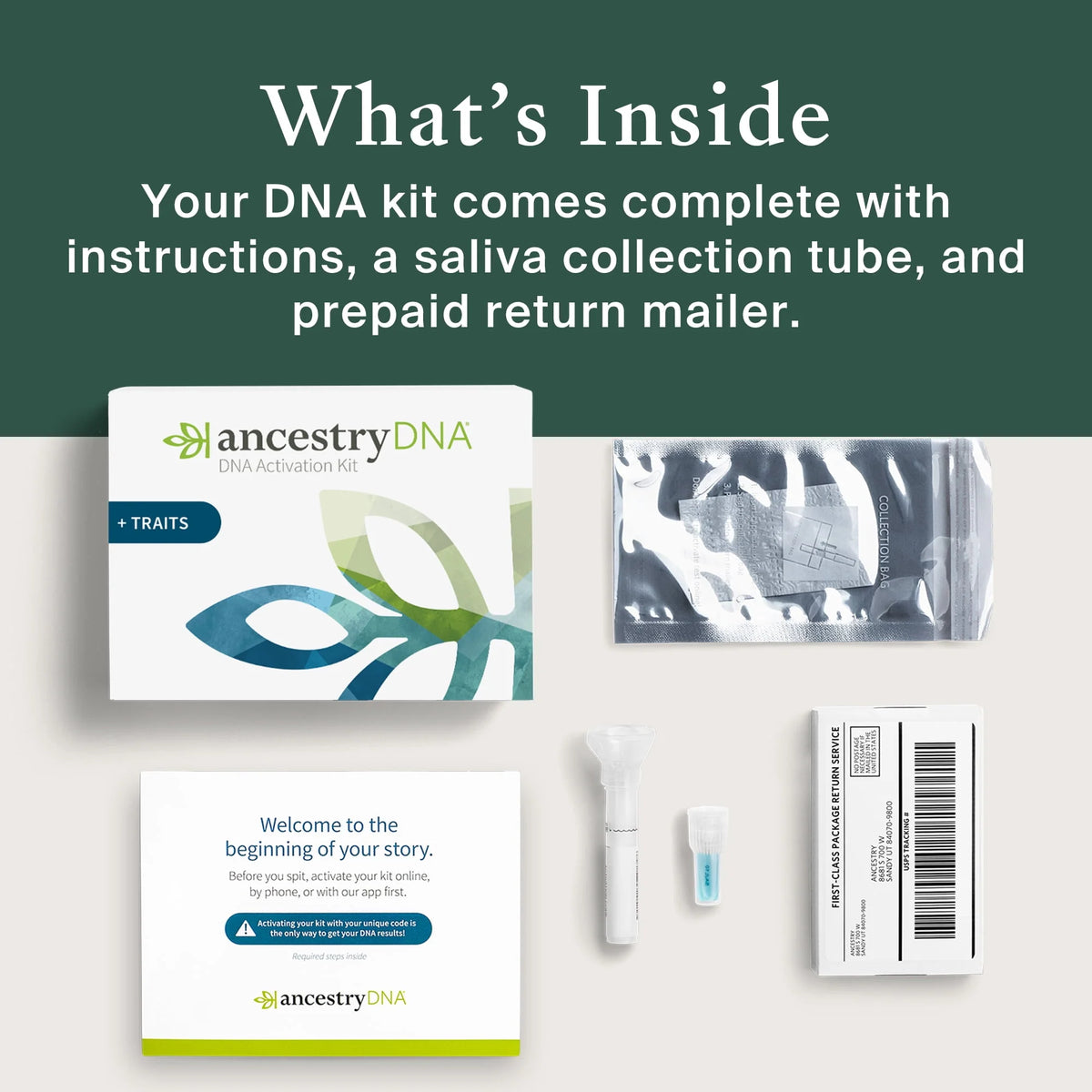 Genetic Traits DNA Test Kit H771571