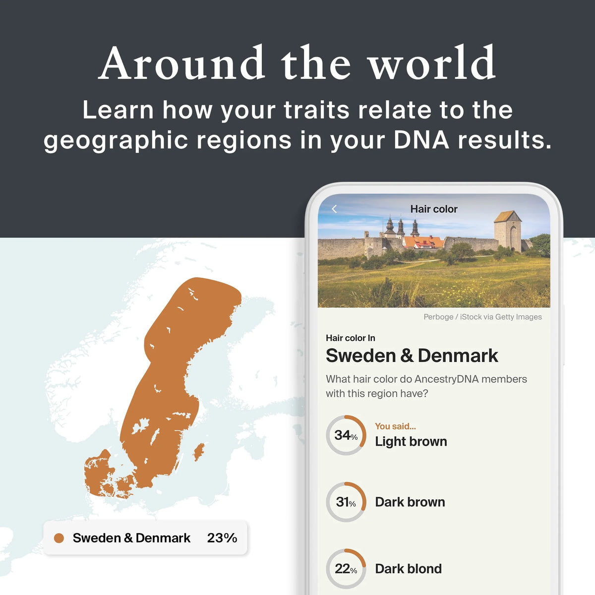 Genetic Traits DNA Test Kit H771571