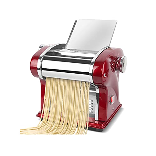 Automatic Stainless Steel Pasta Maker N335259