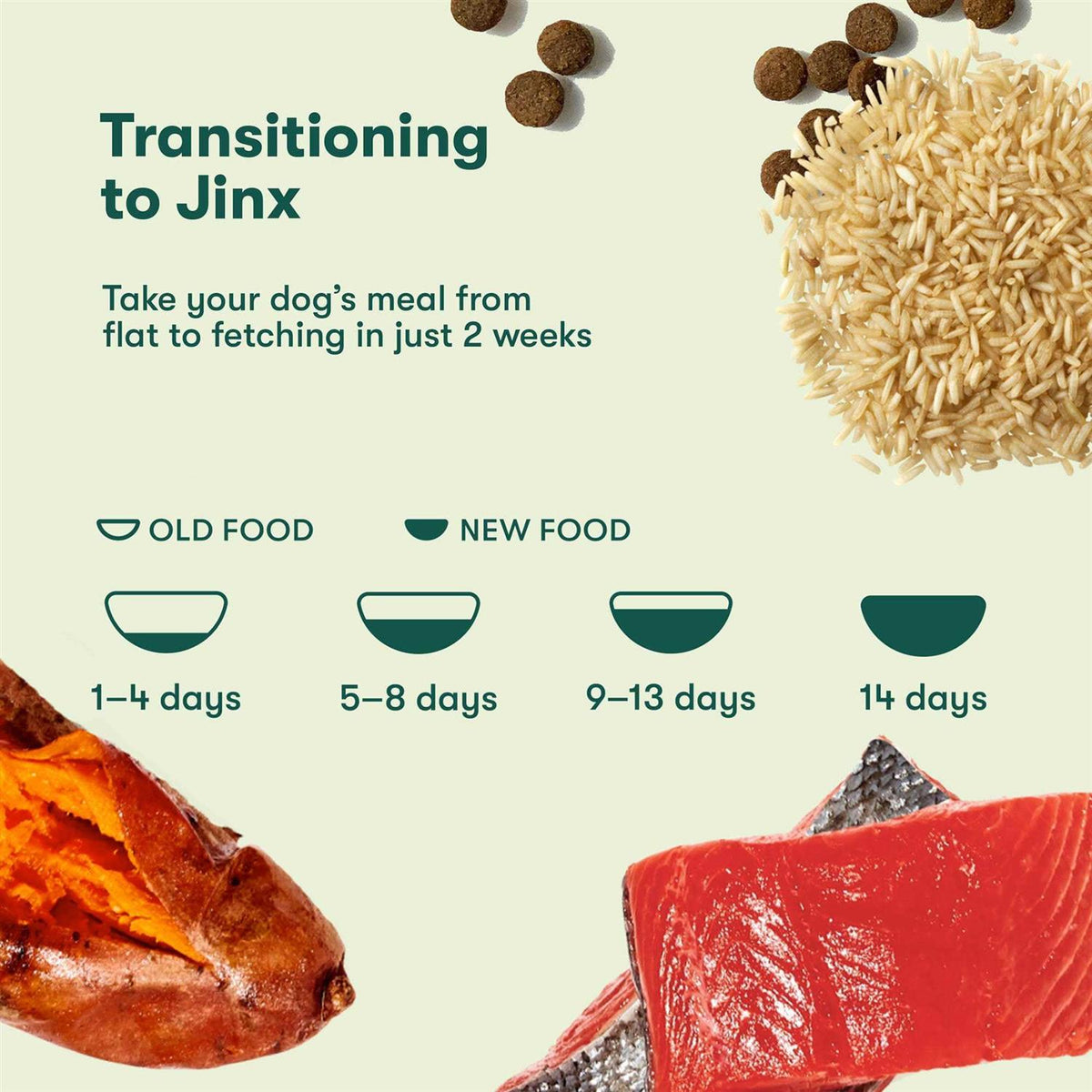 Salmon Brown Rice & Sweet Potato Dry Dog Food Y43676