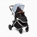 Single Stroller D2571