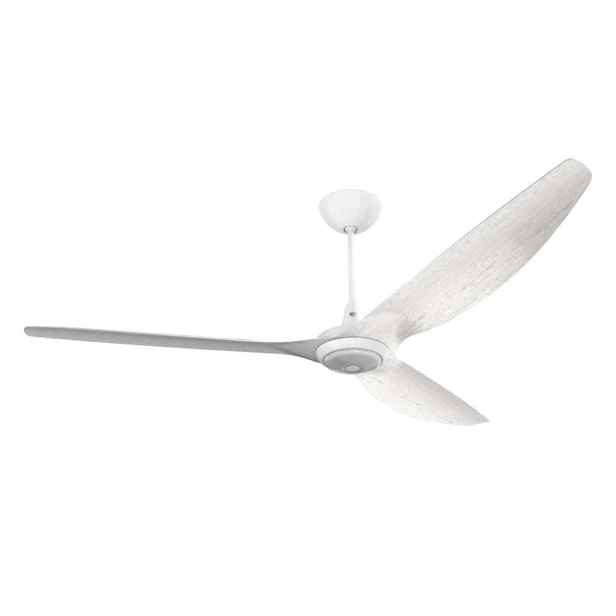 84 Ceiling Fan with LED C890831