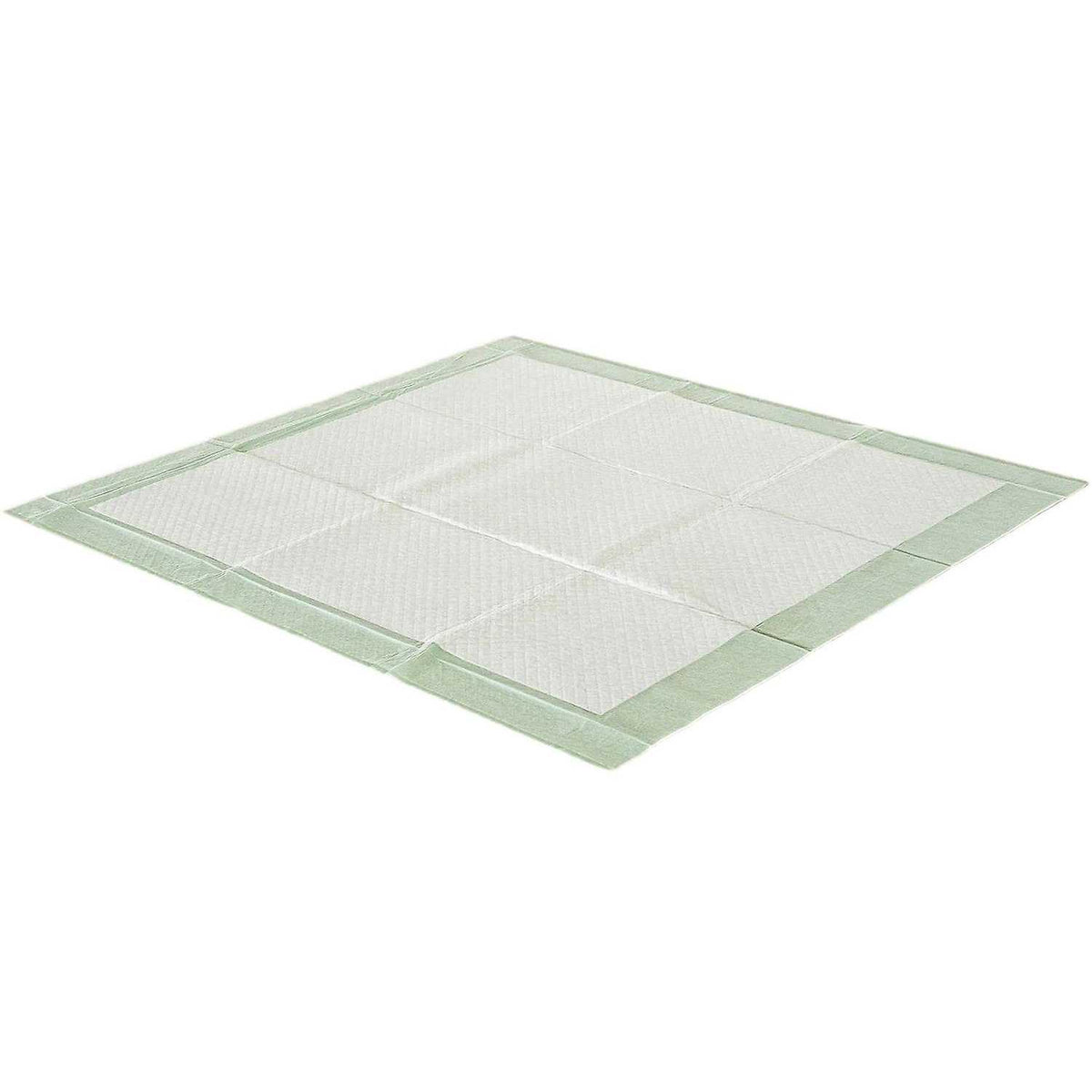 XL Dog Training Pads F2879