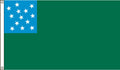 3-Foot by 5-Foot Nylon Green Mountain Boys Historical Flag I920