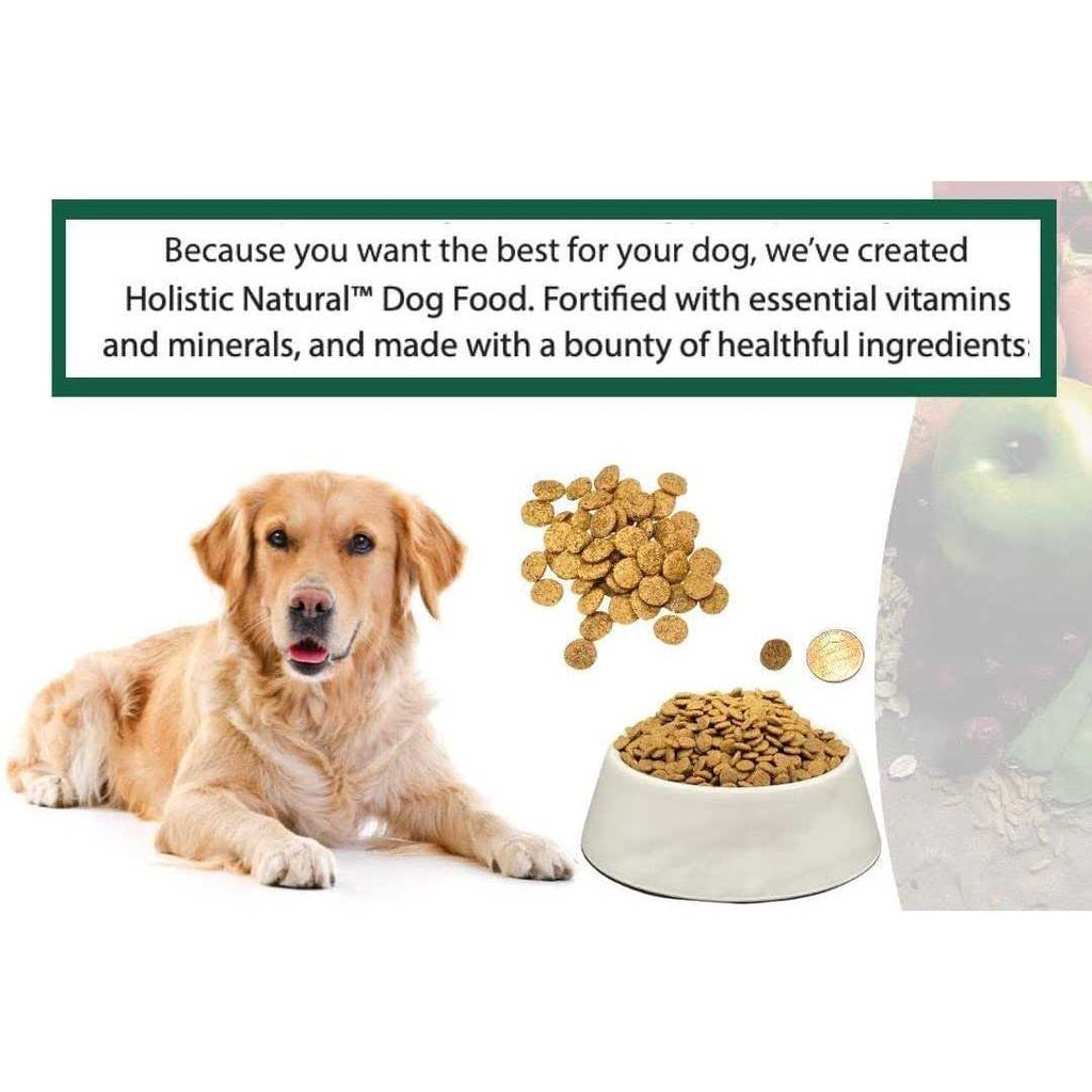Natural Adult Dry Dog Food Chicken Meal and Brown Rice 6.6 lb Bag O709