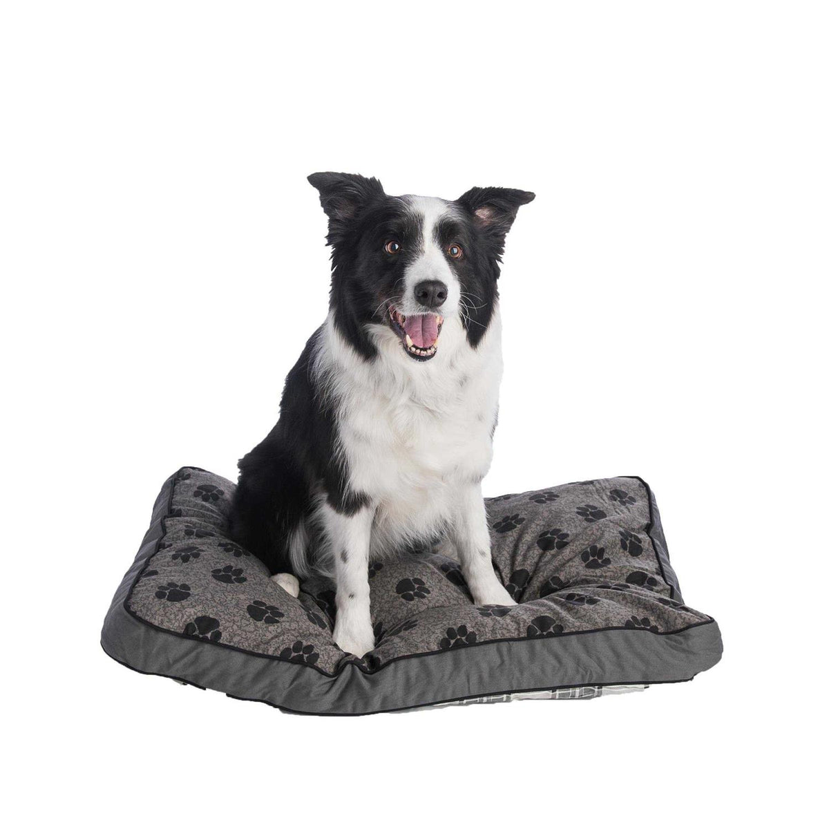 Dog Bed C5066
