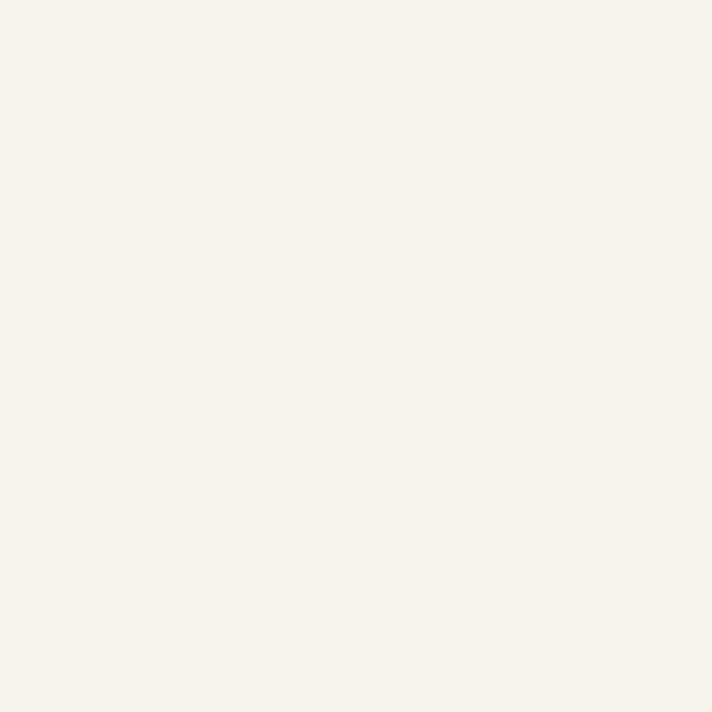 White 2 Gallon Latex Primer C1737