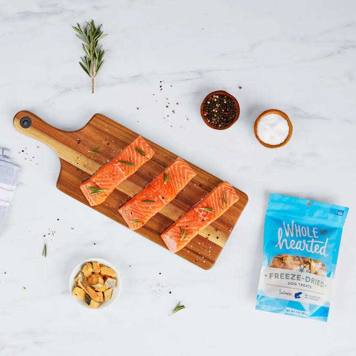 Salmon Freeze Dried Dog Treats B169