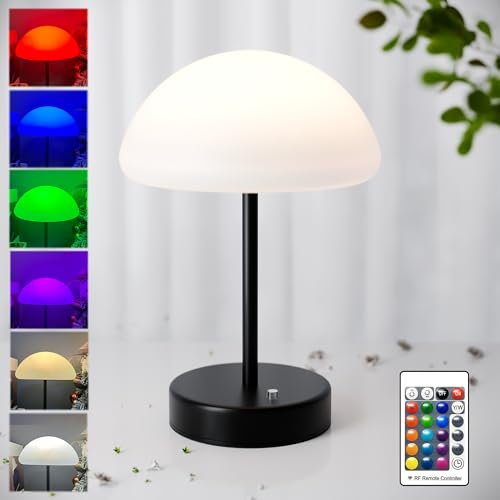 16 Color Changing Rechargeable LED Mood Lamp J15244