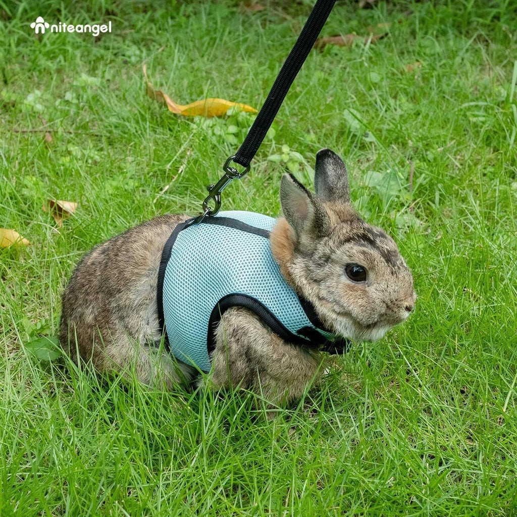 Adjustable Soft Harness with Elastic Leash for Rabbits Y1951