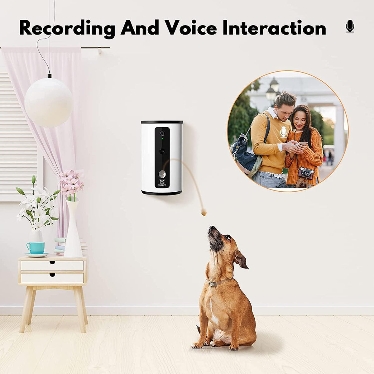 Smart Pet Camera Dog Treat Dispenser with Night Vision Two Way Audio R290