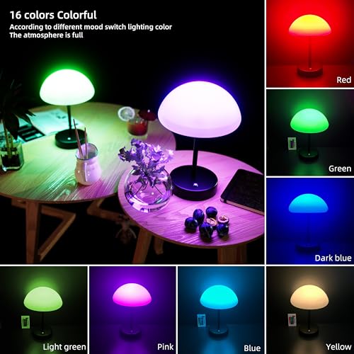 16 Color Changing Rechargeable LED Mood Lamp J15244