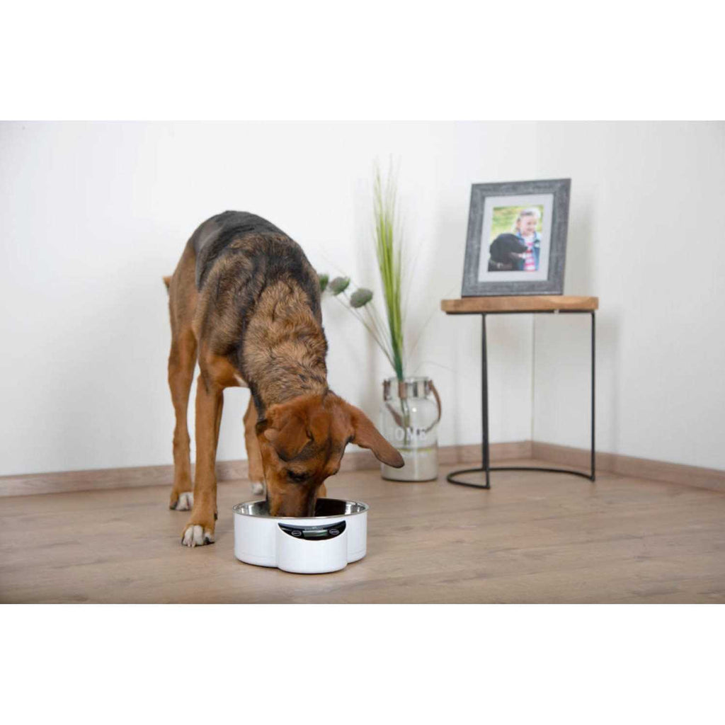 Intelligent Pet Bowl G8977