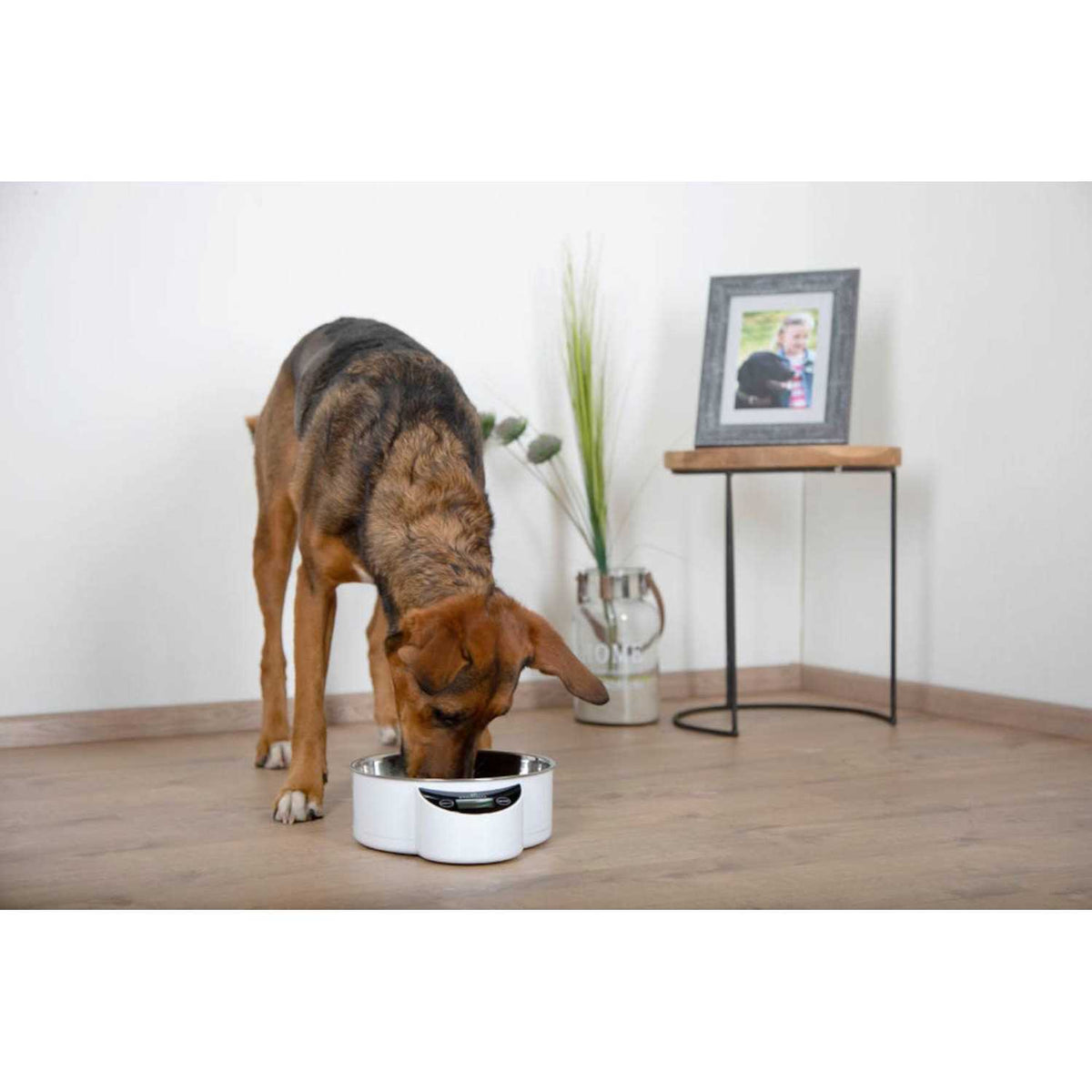 Intelligent Pet Bowl G8977