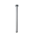 Polished Brass Ceiling Shower Arm P519686