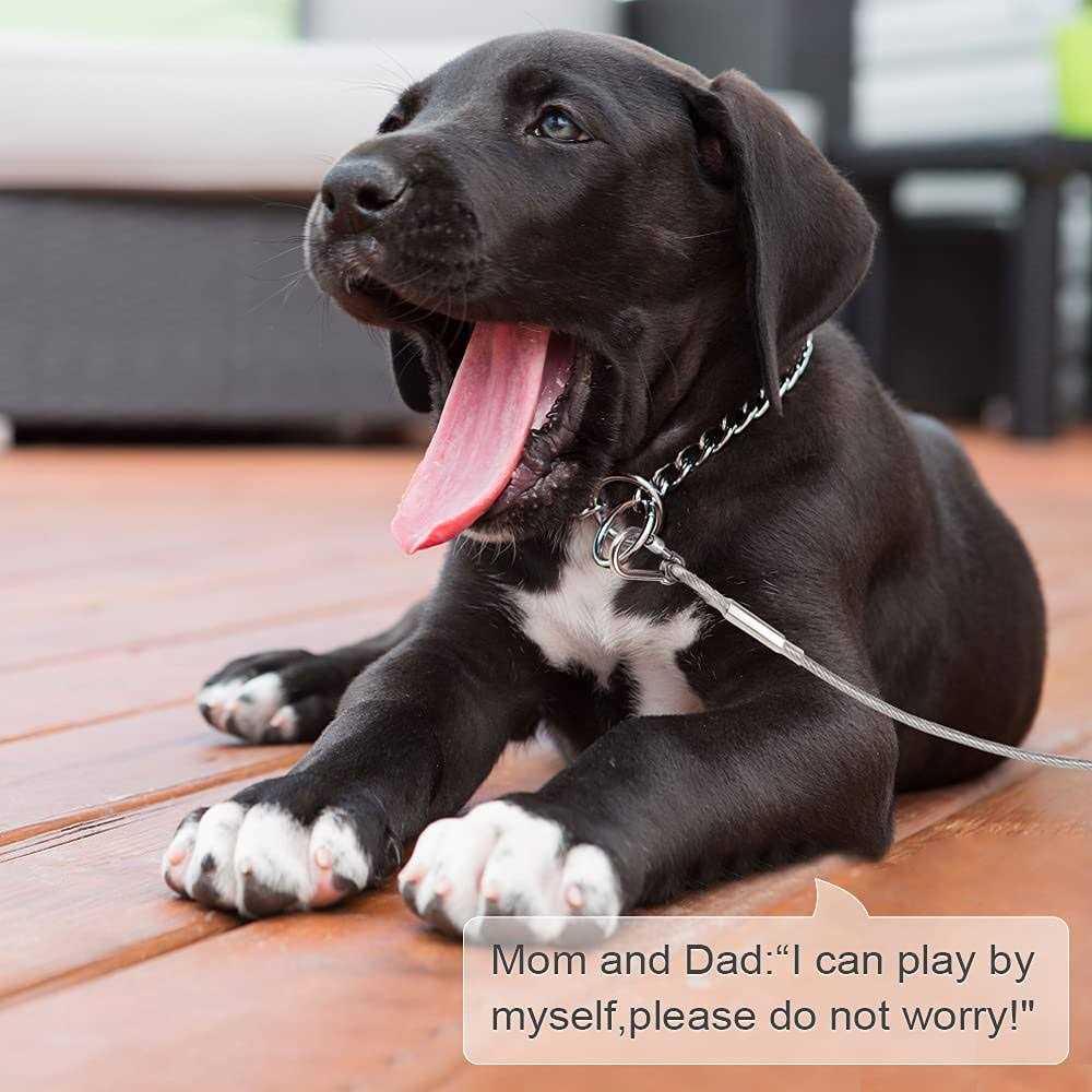 Reflective Dog Tie Out Cable N694838
