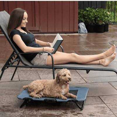 Elevated Pet Cot N90569