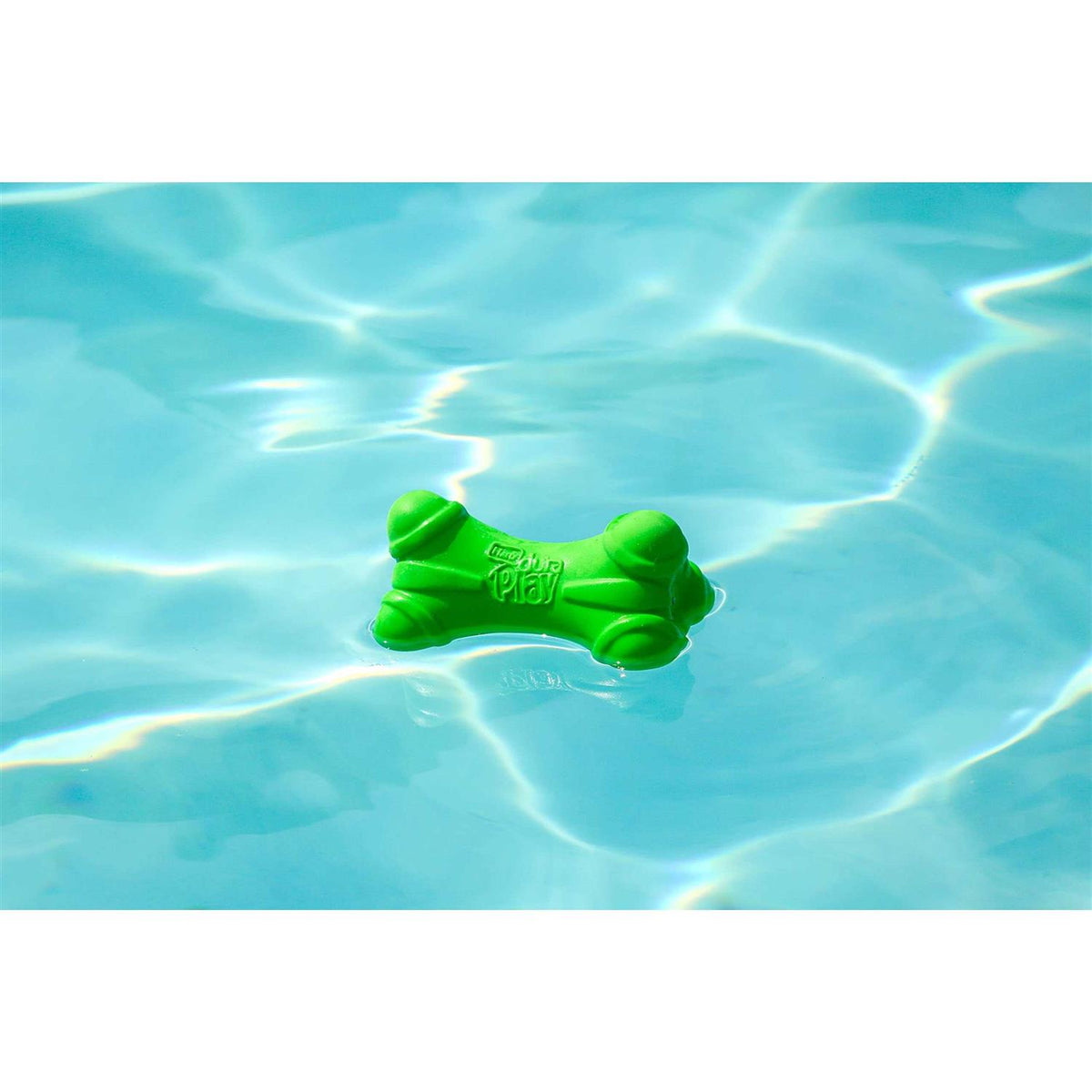Squeaky Latex Dog Toy E58678