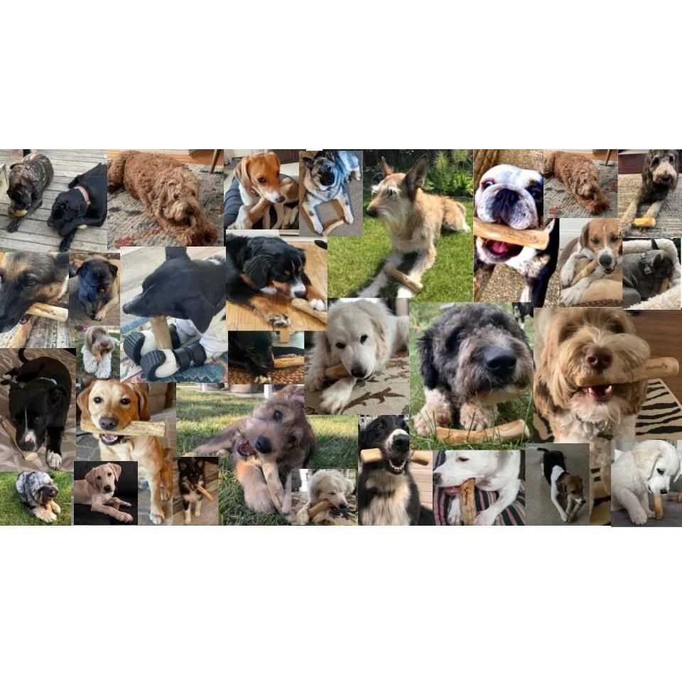 Dog Chew Toys Coffee Wood C29546