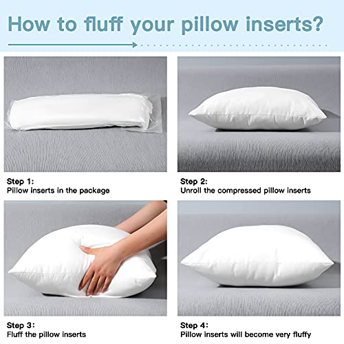 12" x 20" Set of 2 Throw Pillow Inserts M2601