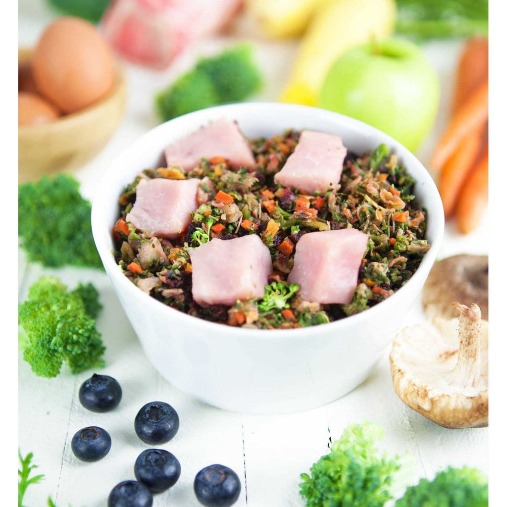 Raw Vibrance Dog Food Y470