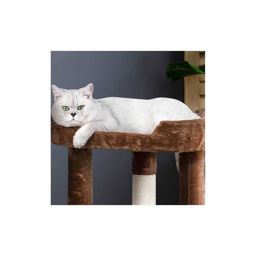 23 in. Cat Tree Perch with Large Perch K21676