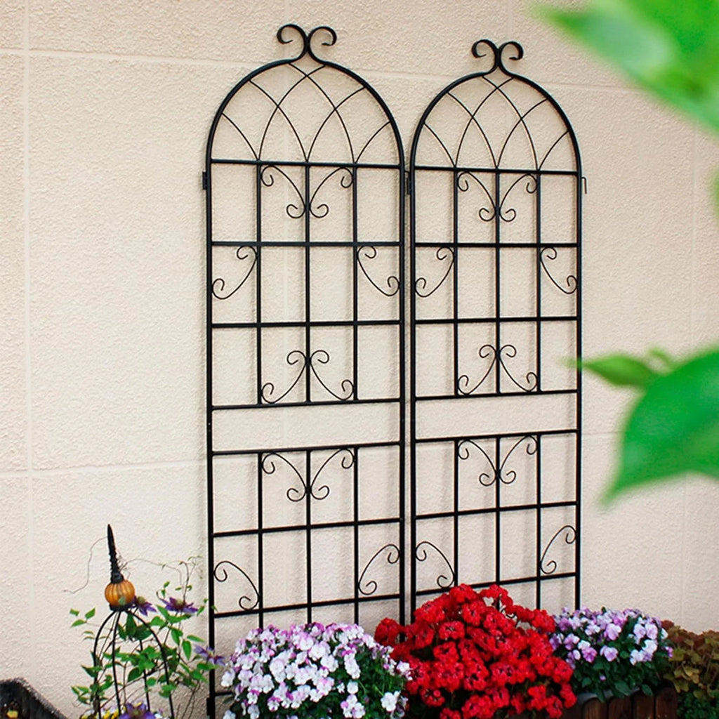 2 Pack Large Heavy Duty Rustproof Black Iron Plant Trellis C283