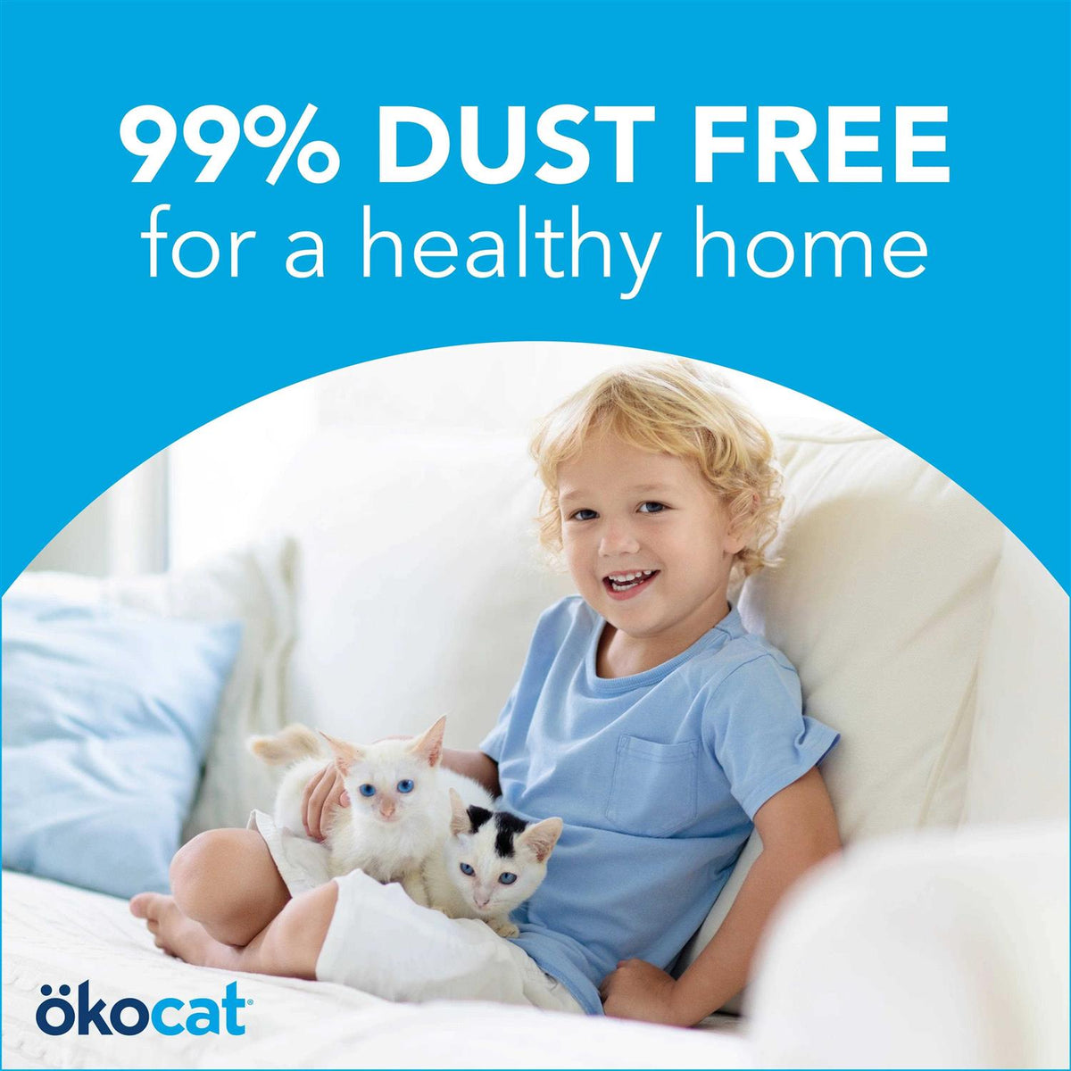 Original Premium Clumping Natural Wood Cat Litter R602