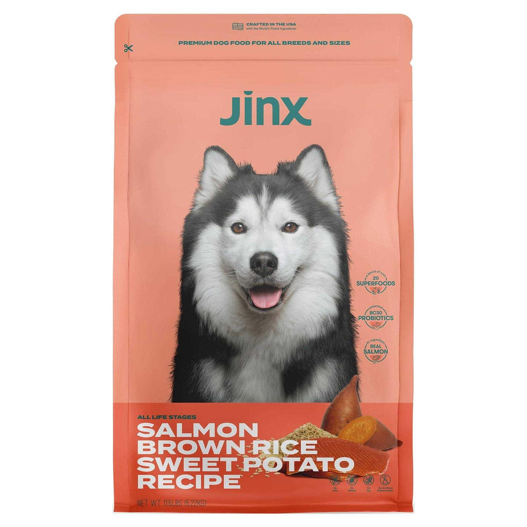 Salmon Brown Rice & Sweet Potato Dry Dog Food Y43676