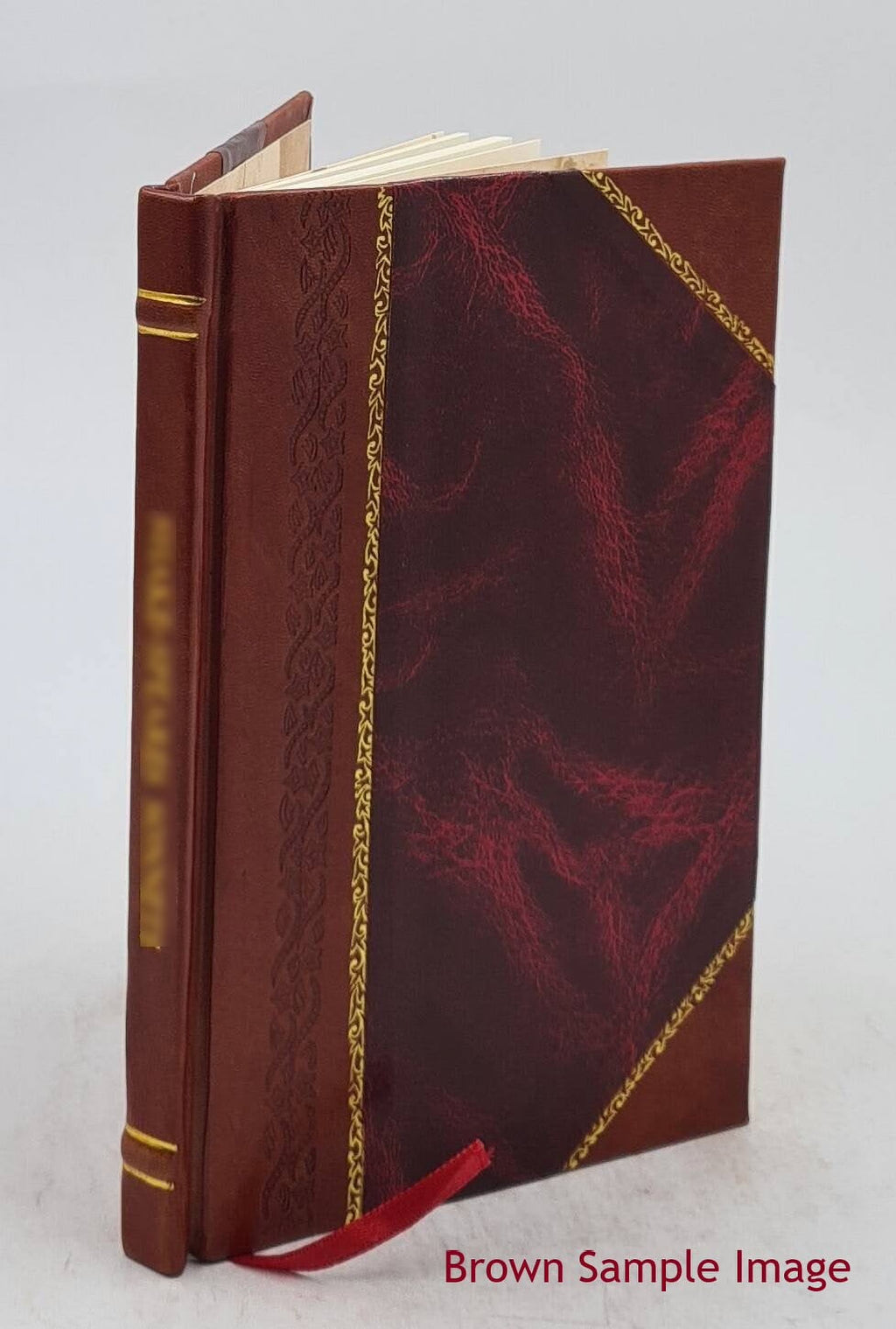 Spring water versus river water for supplying the city of New-York 1835 [Leather Bound] U921