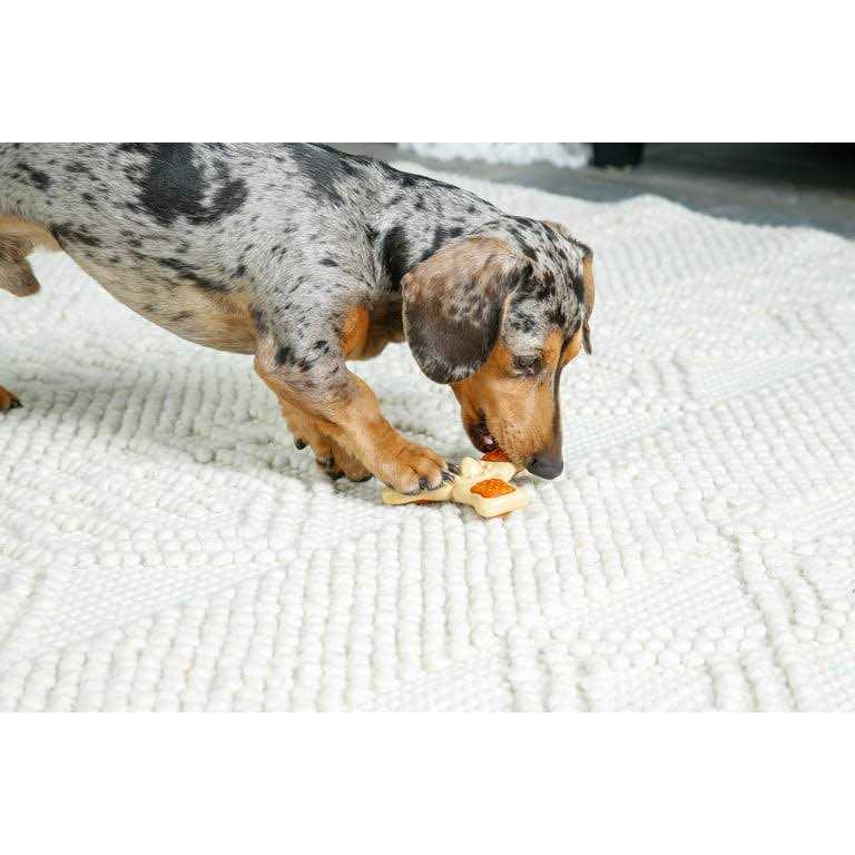 Chew Toy U737734