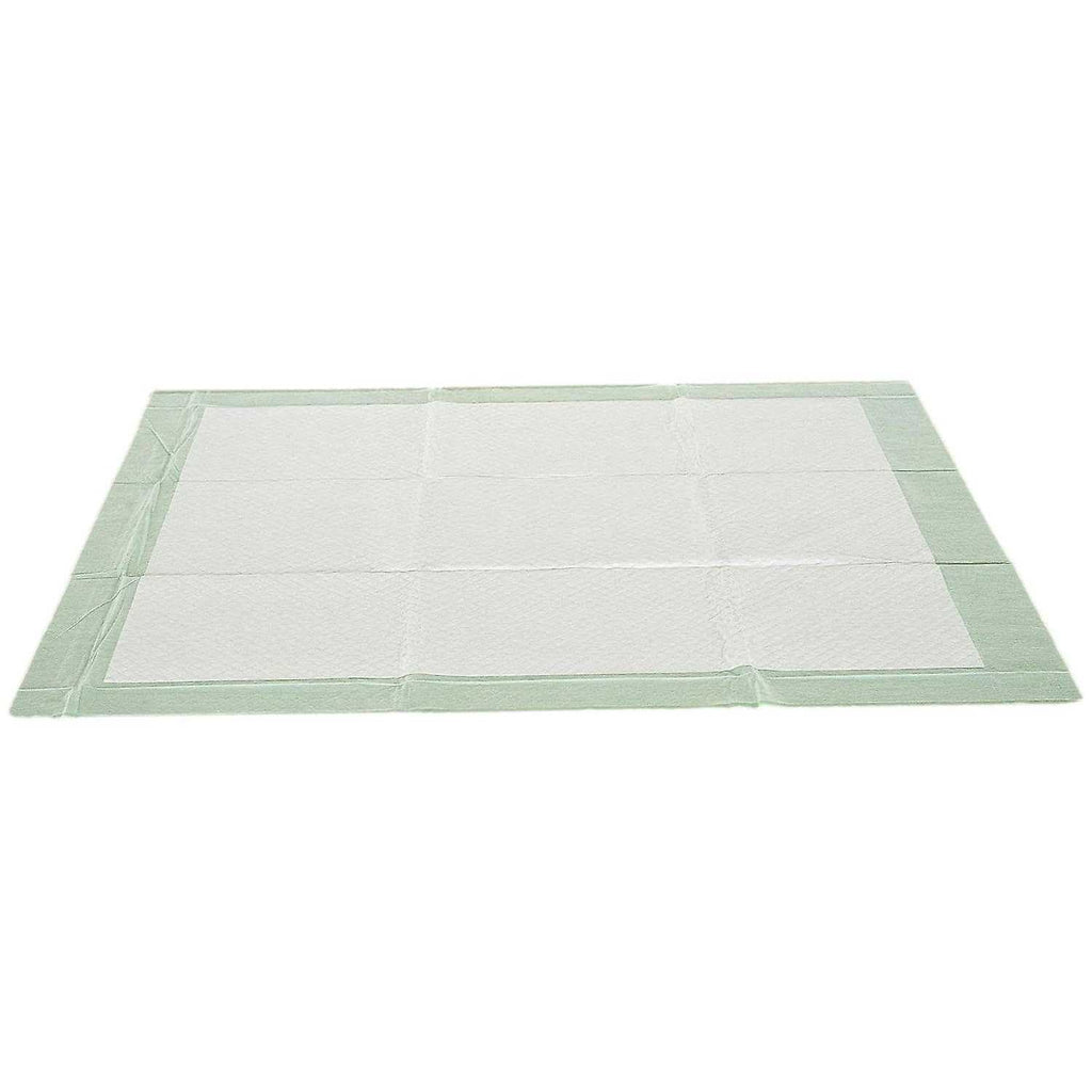 XL Dog Training Pads F2879