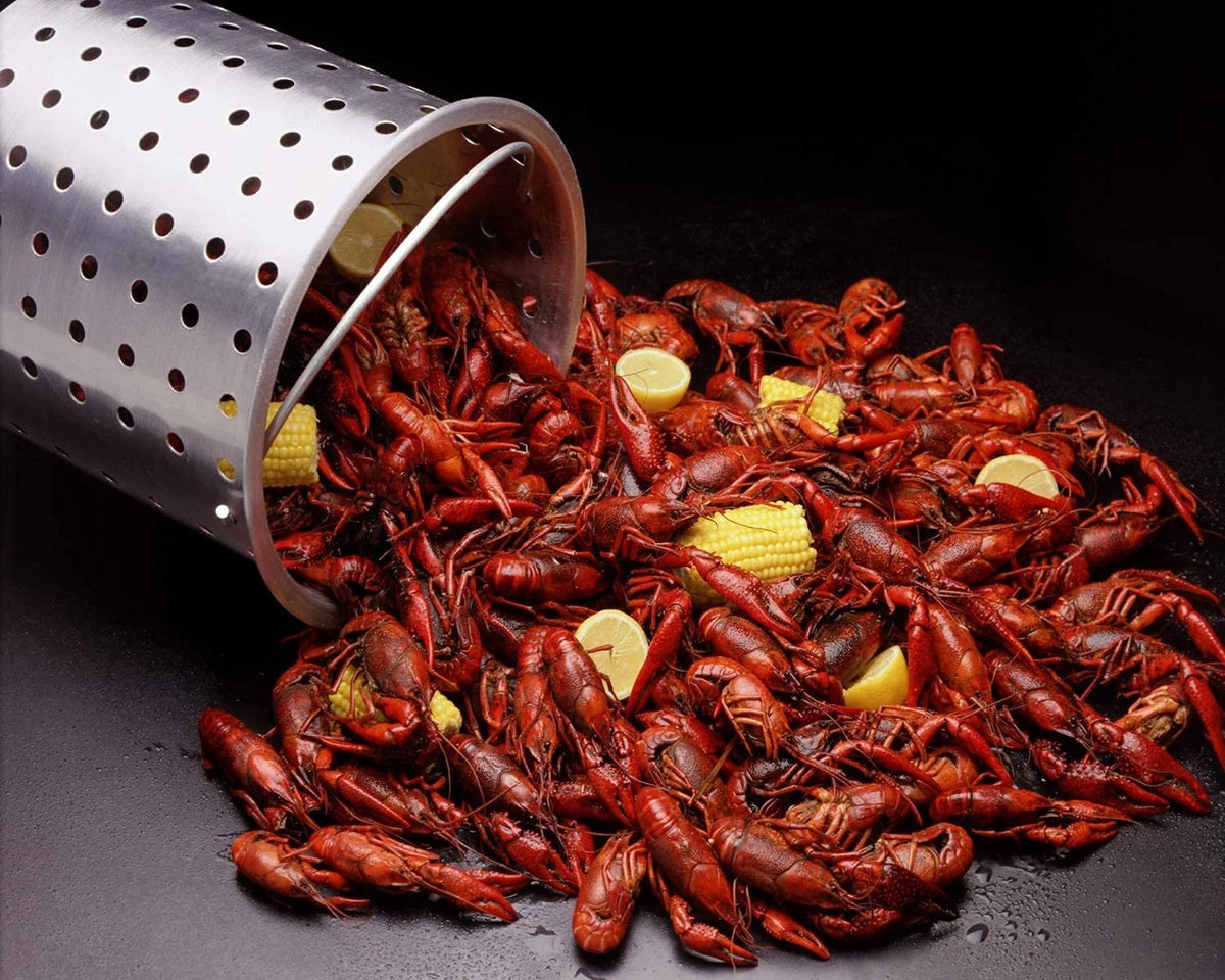 10 Qt Propane Outdoor Fish Fryer Set Z13471