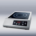 13 Smoothtop Portable Electric Induction Cooktop With 1 Cooking Zone In Stainless Steel A3889