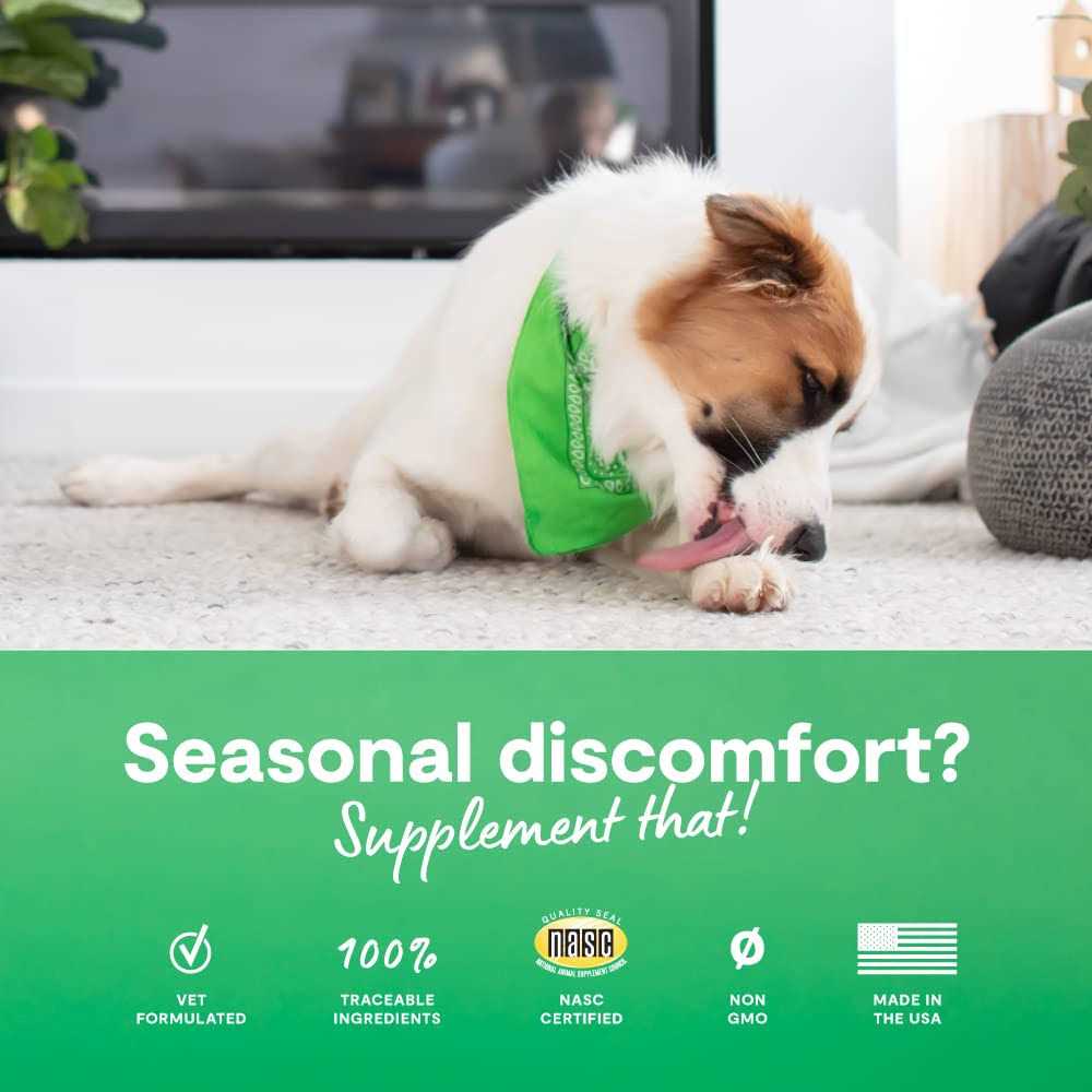 Dog Supplement Immune Chews Z3067