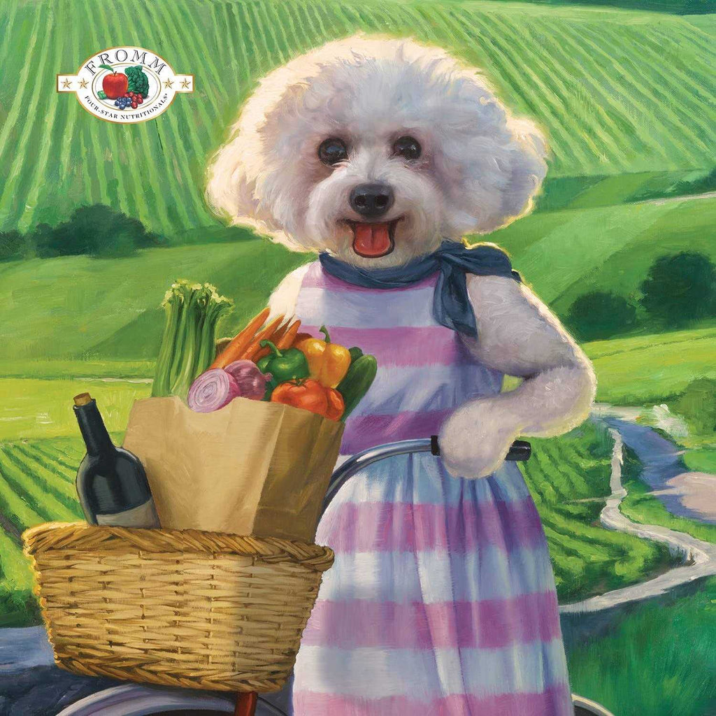 Chicken Dog Food Y95689