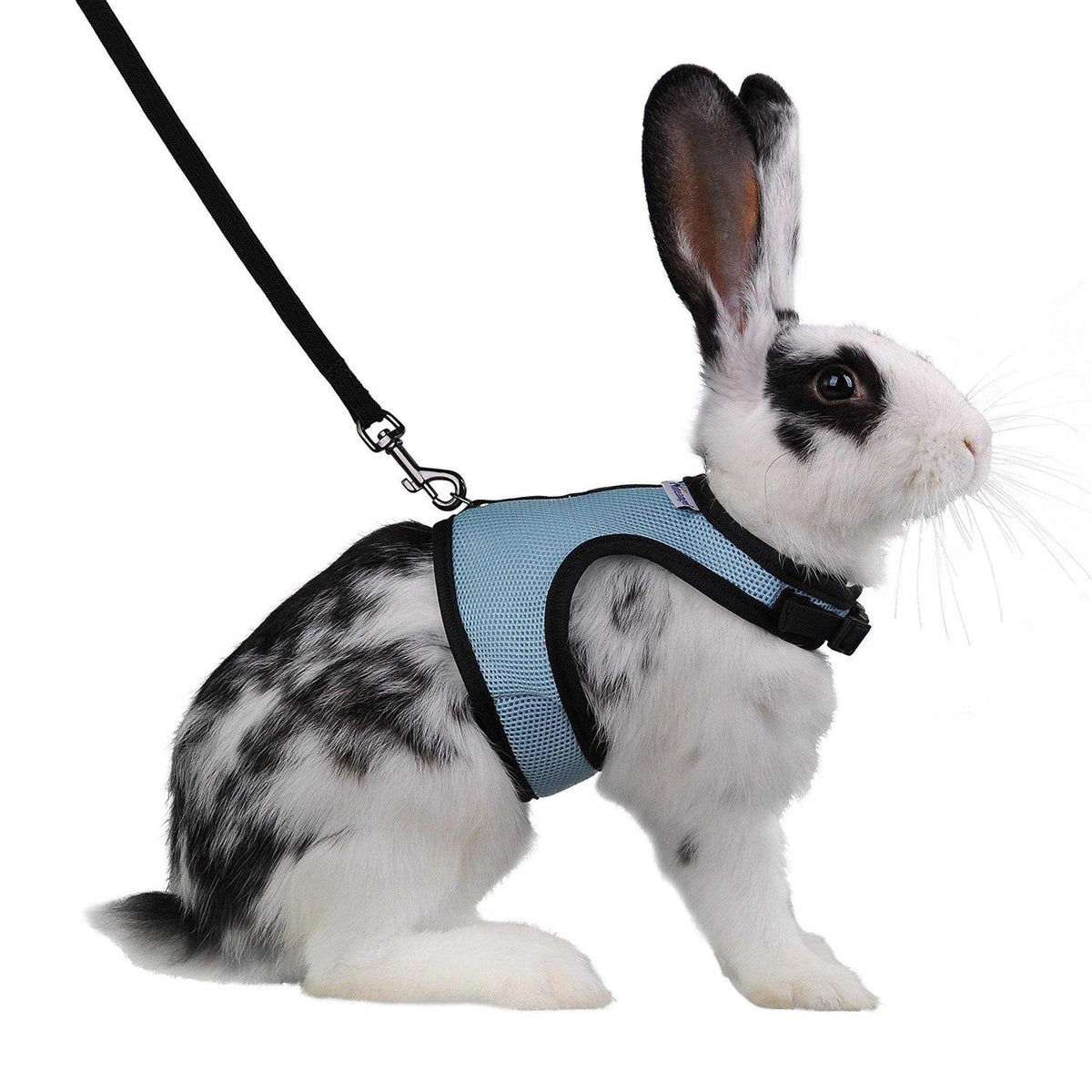 Adjustable Soft Harness with Elastic Leash for Rabbits Y1951